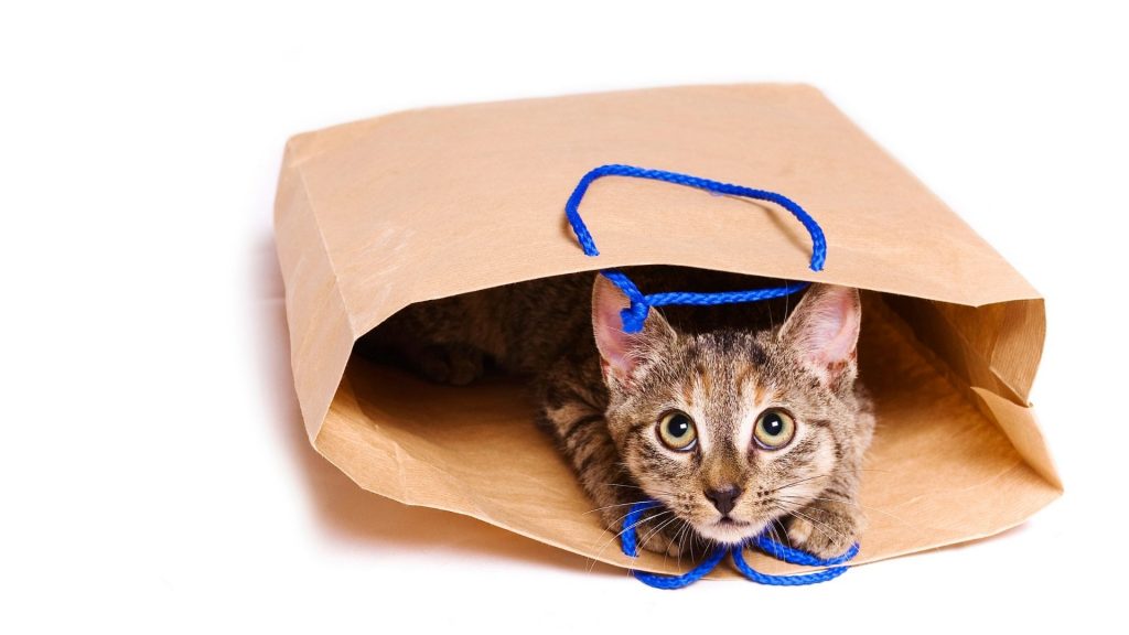 Проблема продавцов услуг №1: Проблема кота в мешке