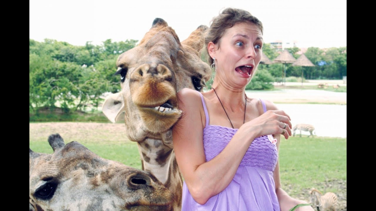 Как соцсети управляют твоими гормонами: нейробиология Instagram и TikTok