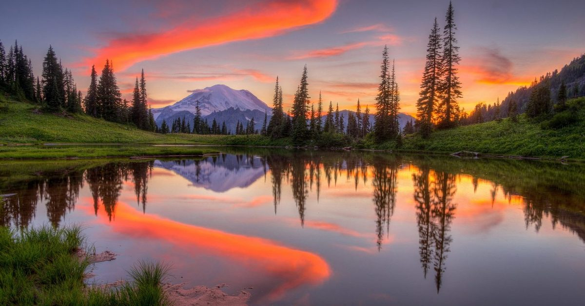 Как соцсети управляют твоими гормонами: нейробиология Instagram и TikTok